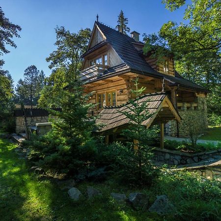 Вилла Dom Crocus Закопане Экстерьер фото